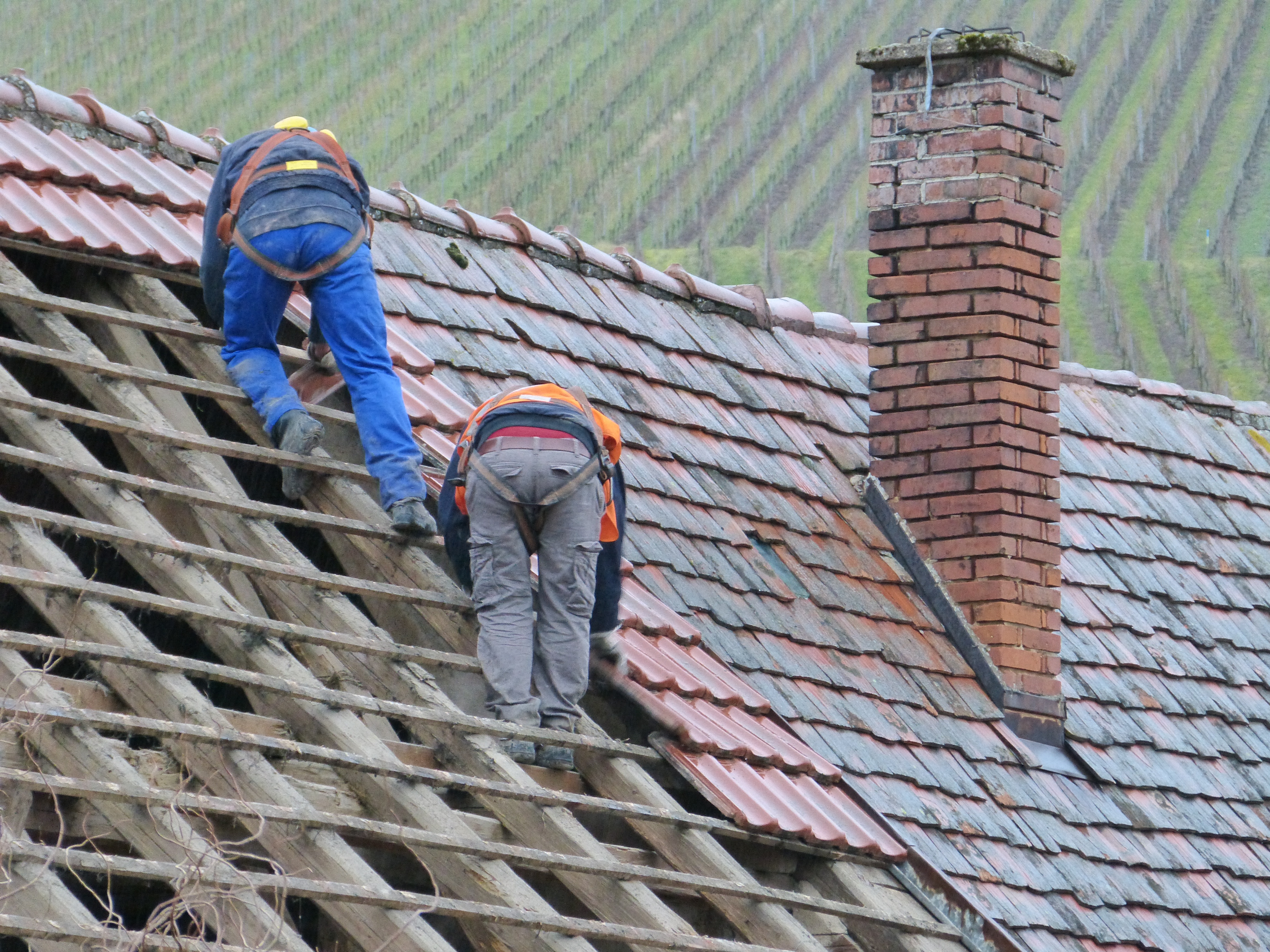 chimney sweep professional