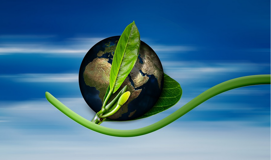 safe for environment