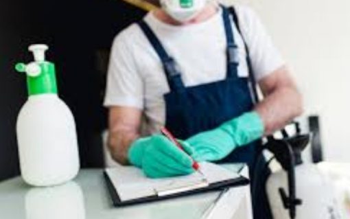 pest control service