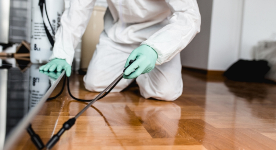 pest control technician