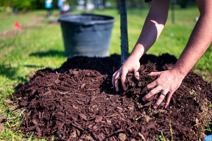 mulch